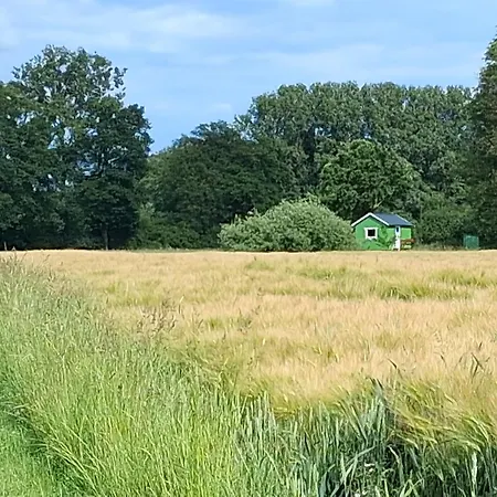 Luksustelt Tiny House